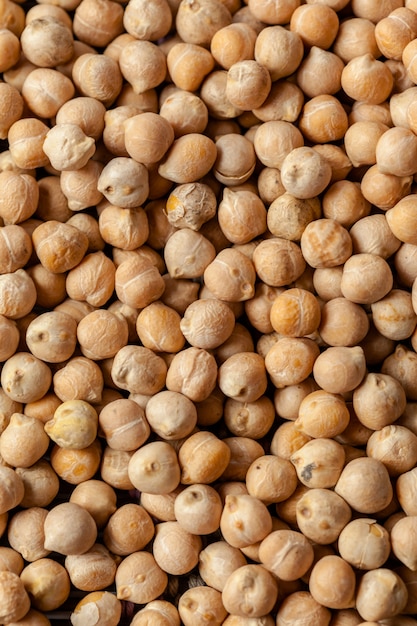 soybeans isolate on a background