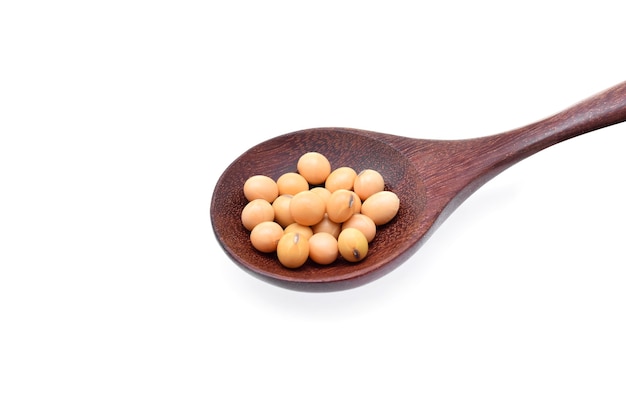 Soybeans isolate on white background.