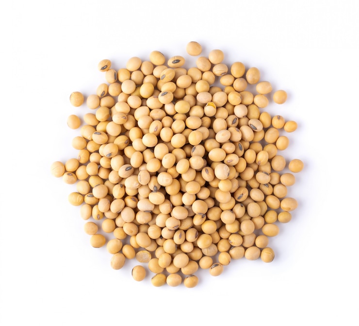 Photo soybeans isolated