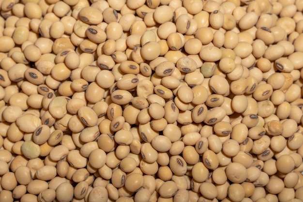 Soybeans placed in a bowl or plate are on the wood grain table