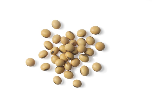 Soybeans on a white background