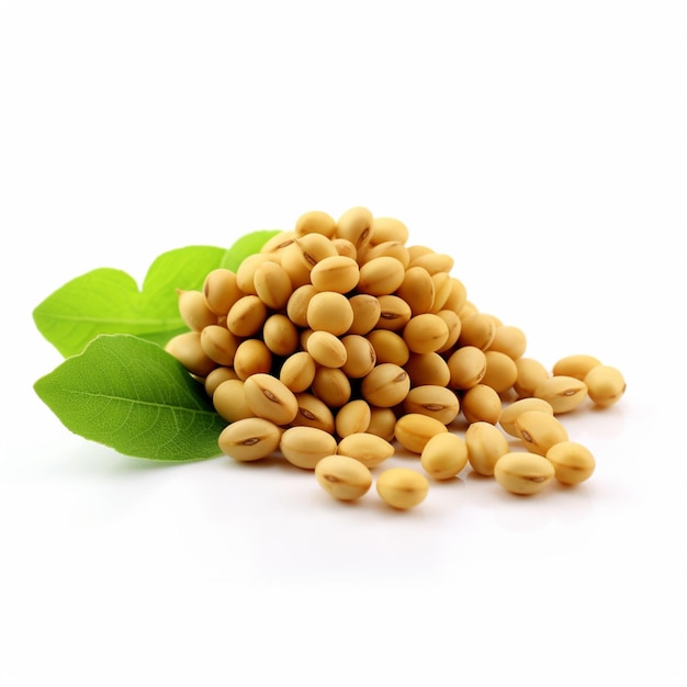 Soybeans with white background high quality ultra h