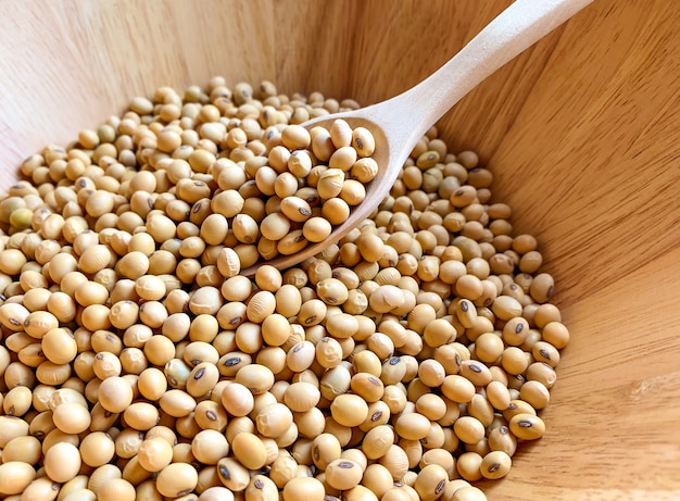 soybeans in a wooden bowl and wooden spoon for soybean seed scoop