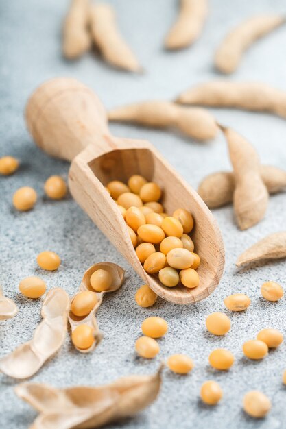 Soybeans in wooden spoon and pods on a gray concrete surface