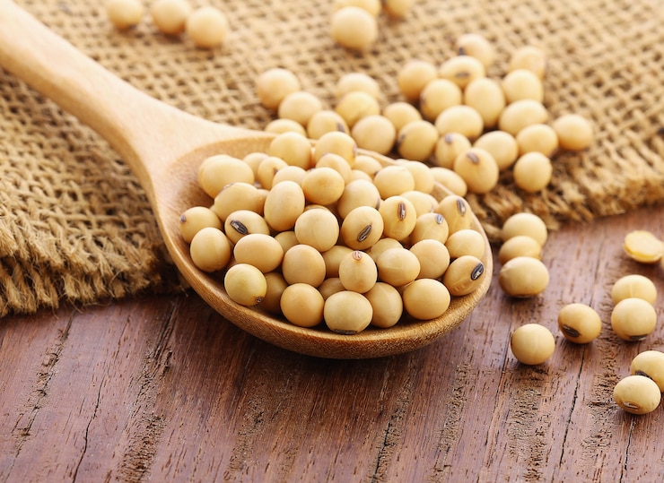 Photo soybeans on wooden spoon