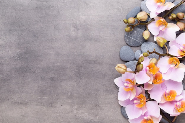 Spa aromatherapie achtergrond, plat leggen van verschillende schoonheidsverzorgingsproducten versierd met eenvoudige orchideebloemen.