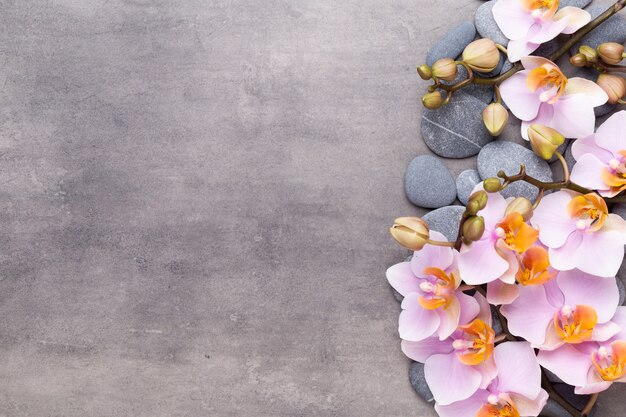 스파 아로마 테라피 배경, 간단한 난초 꽃으로 장식 된 다양한 미용 제품의 평면 누워.