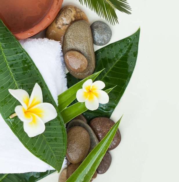 Spa background with green leaves flowers and white flowers