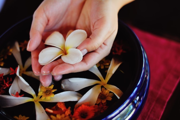 スパと美しさの女性の手と水の中の花