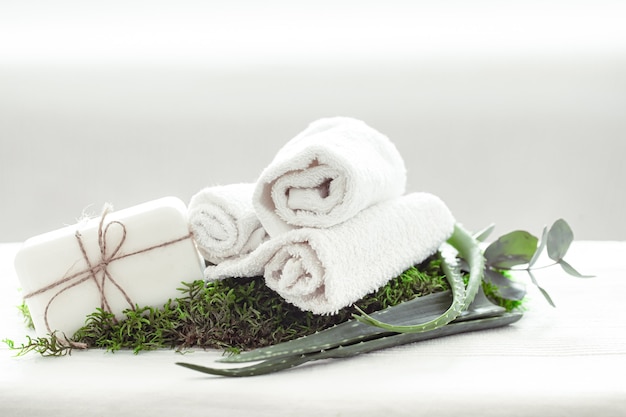 Composizione spa con aloe vera con un asciugamano bianco attorcigliato.