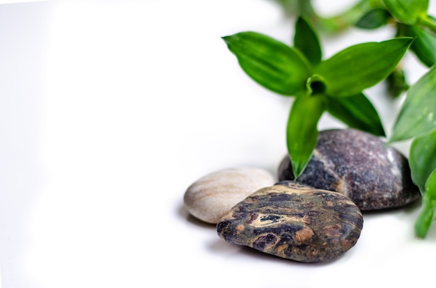 Spa concept. Bamboo, sea stones on grey background.