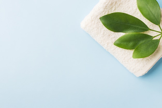 Spa concept of Green leaf and towel on blue background