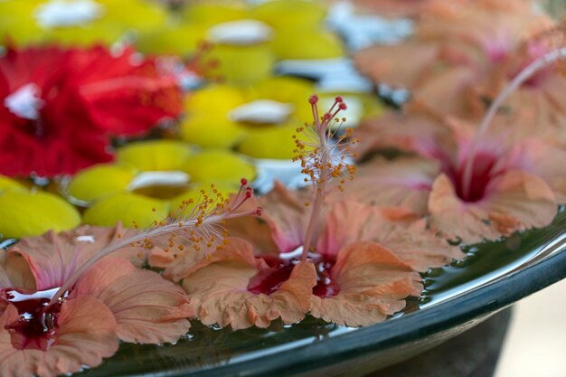 Spa flowers in the water