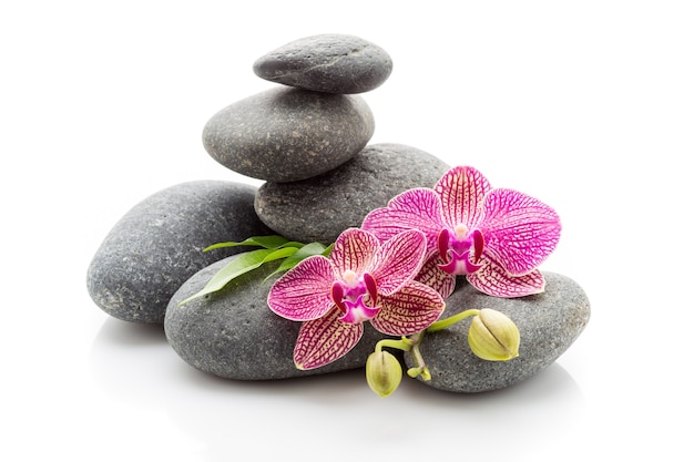 Spa masage stones and orchid isolated on the white background.