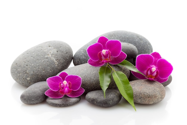 Камни спа массаж и орхидеи, изолированные на белом фоне