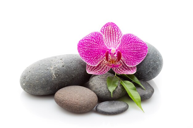 Spa massage stenen en orchideebloemen