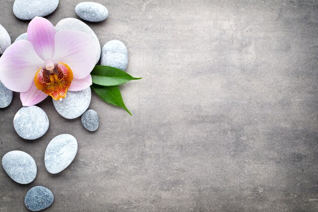 Spa orchid theme objects on grey background.