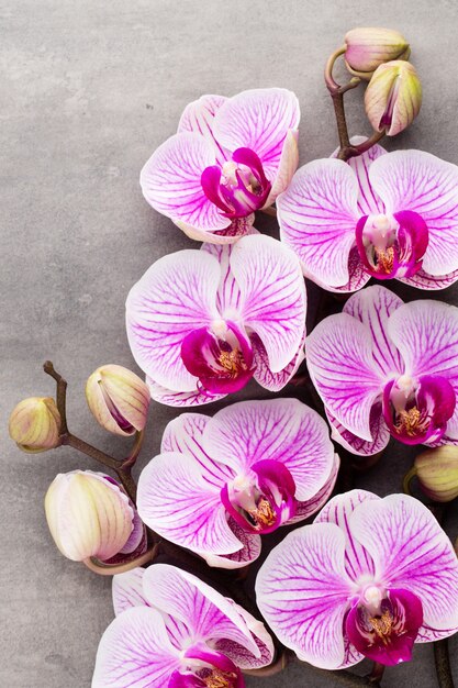 Spa orchidee thema-objecten op grijze tafel