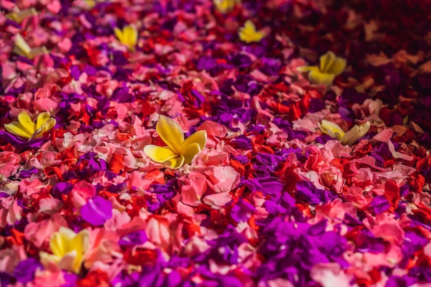 熱帯の花のスパ ペディキュア トリートメントとボウルにスパの花びら