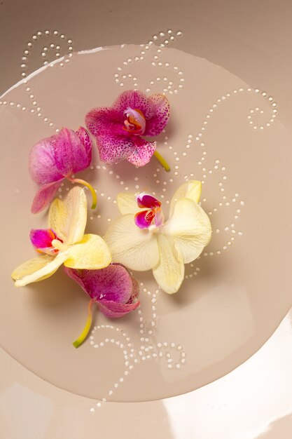 Foto prodotti termali con orchidee