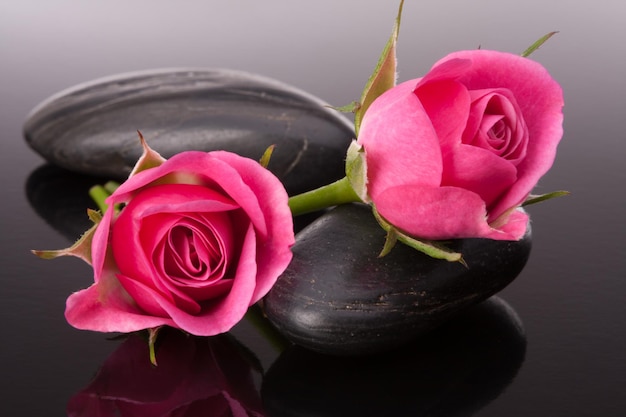 Spa steen en roze bloemen stilleven Gezondheidszorg concept