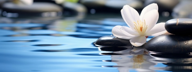 Photo spa still life with stones and flowers in serenity water natural alternative therapy generative ai