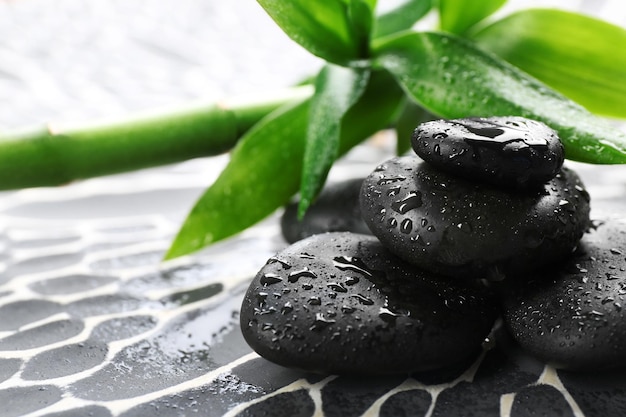 Spa stones and bamboo branch on dark background