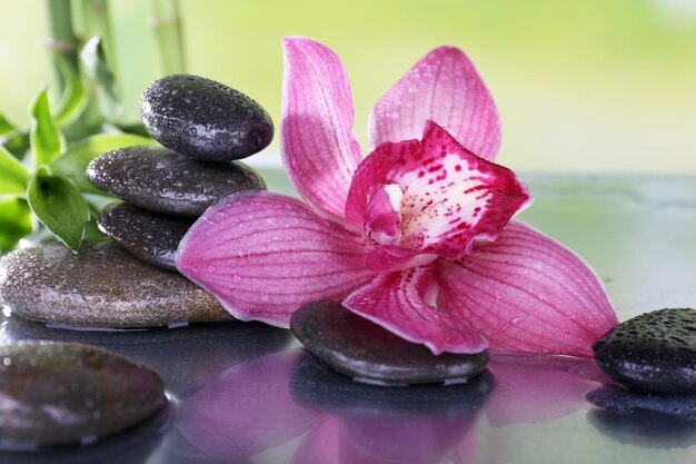 Spa stones bamboo branches and lilac orchid on table on natural background