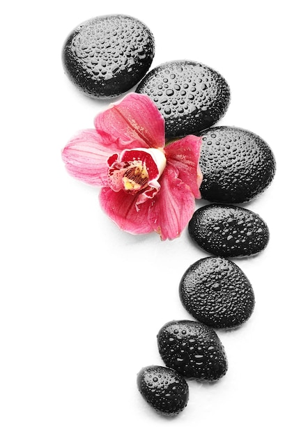 Spa stones and beautiful pink orchid on white background