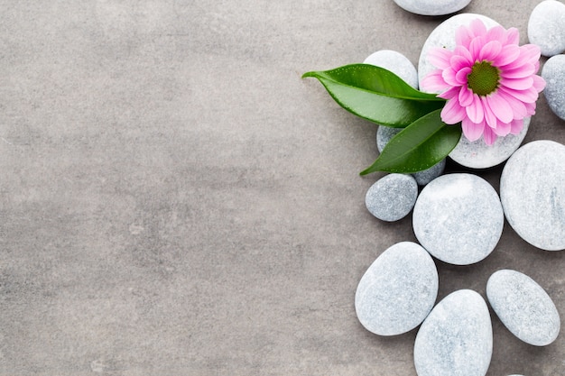 Spa stones and flowers on grey background.