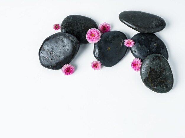 Spa stones and flowers on the white background