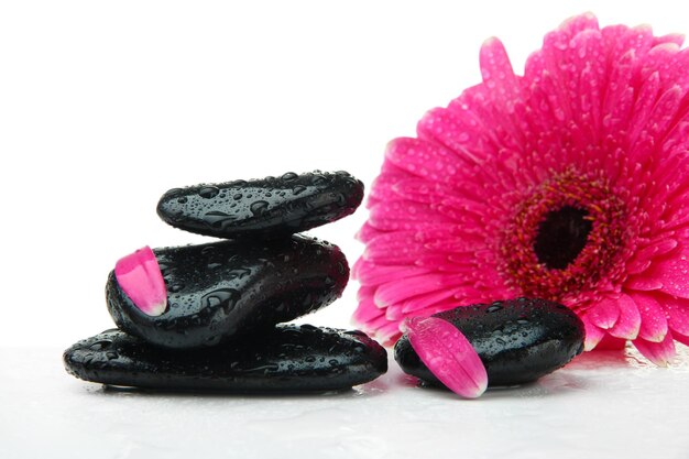 Spa stones and gerbera isolated on white