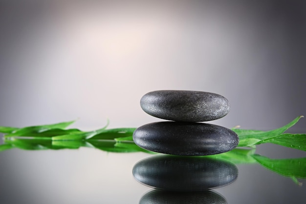 Spa stones and green branch on grey background