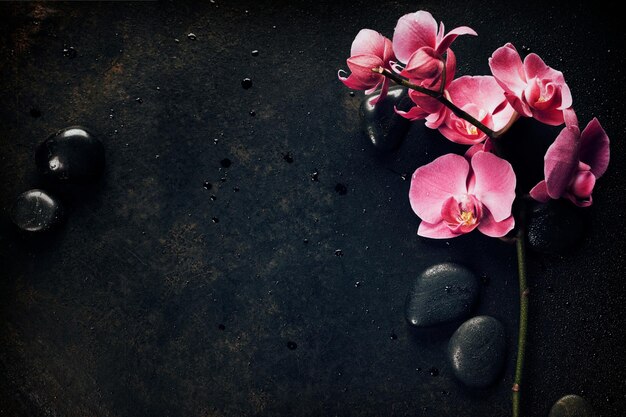 Spa Stones and Orchid on Dark Background