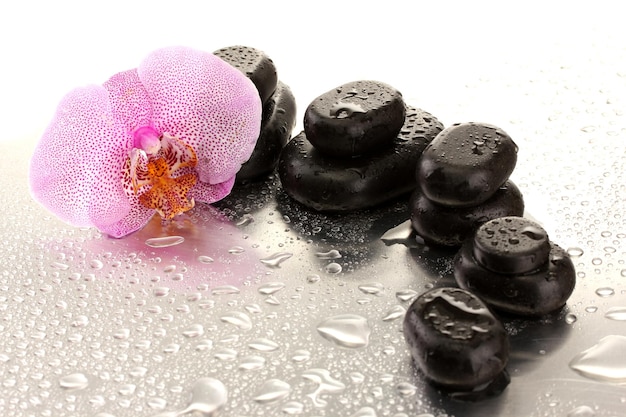 Spa stones and orchid flower on wet background