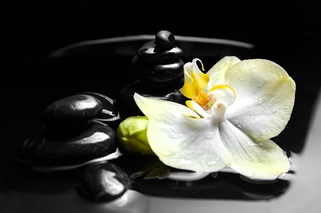 Spa stones and orchid in water