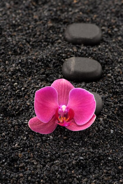 Spa stones and orchid