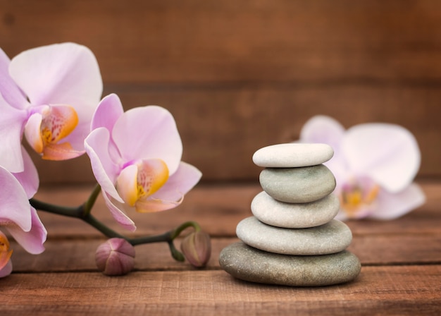 Spa stones and pink orchid flowers