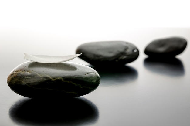 Spa stones in a row with white petal