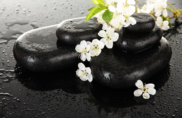 Spa stones and white flowers on dark background