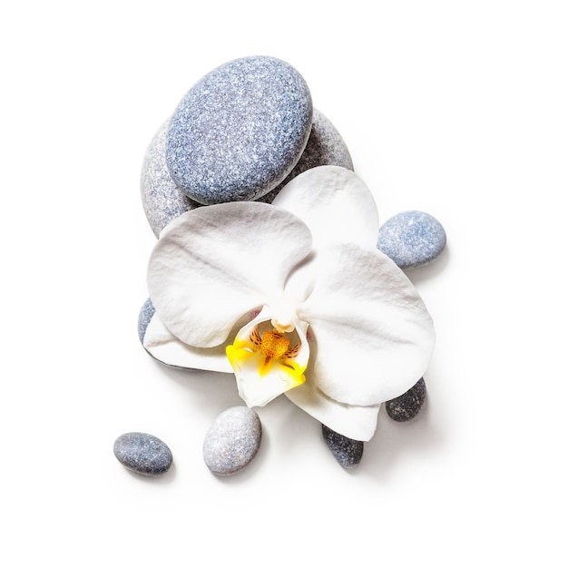 Photo spa stones and white orchid flower isolated on white background clipping path included. flat lay