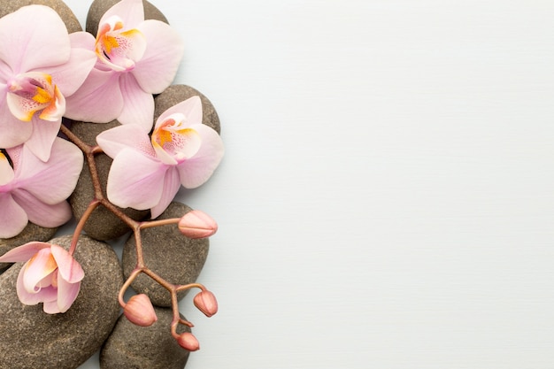 Photo spa stones on wooden background with orchids.