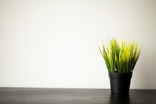 Spa. Vetplant op vensterbank in moderne badkamer