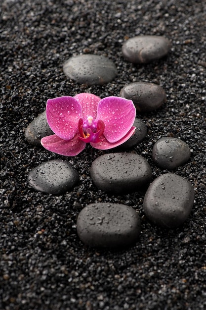 SPA Zen stones and orchid on a black background