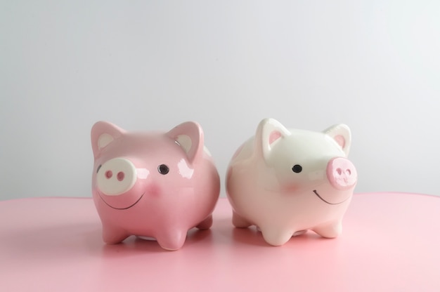 Spaarvarken twee op roze lijst met witte achtergrond. Een besparing voor toekomstig investeringsconcept.