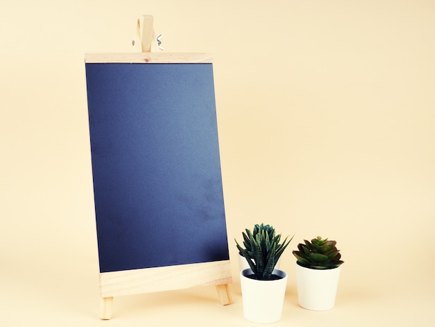 Photo space of black board with cactus decorate.