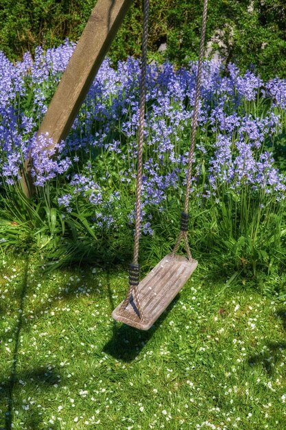 緑の芝生と多年生の紫色のフウロソウの花が屋外で成長し繁栄している緑豊かな庭園で、楽しく遊んでみたいアクティブな子供たちのために裏庭で遊ぶスペース