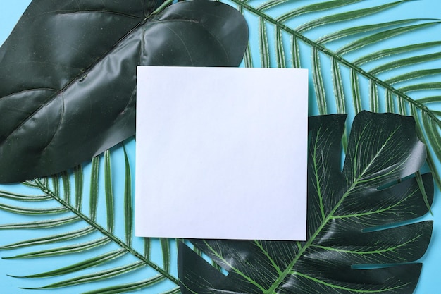 Space for text on blank white paper over various green leaf on blue background.