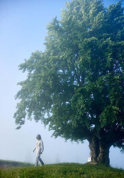 Spaceman and an old big tree on a green foggy meadow