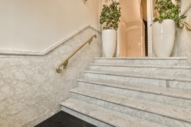 Spacious bright corridor with stair and plants